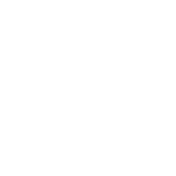 Starz in Black logo