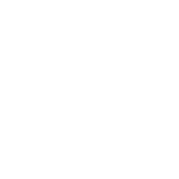 Sacramento Kings logo