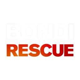 Bondi Rescue logo