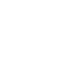 Sling scapes logo
