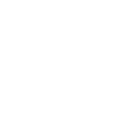 dmc logo