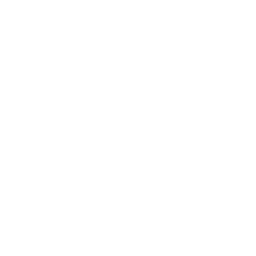 WTOK Meridan MS logo
