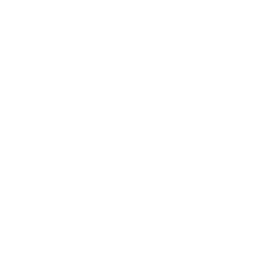 Times Now Navbharat logo
