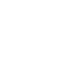 Hot Ones logo