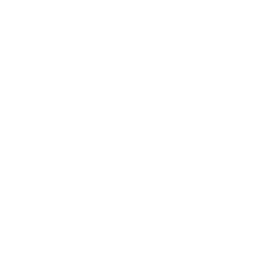 TMZ logo