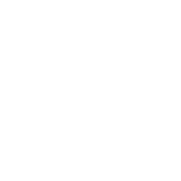 Bondi Rescue logo