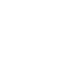 Boston Red Sox logo