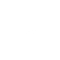 BBC Two Wal HD logo