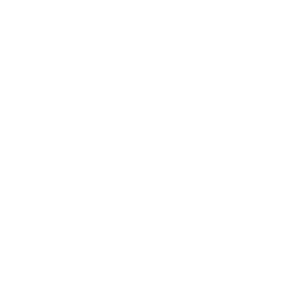wedo big stories logo