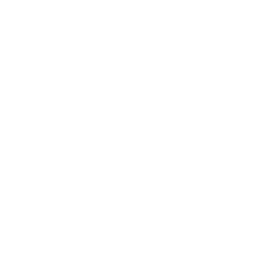 FOX (WFLD) logo