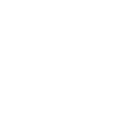 San Antonio Spurs logo