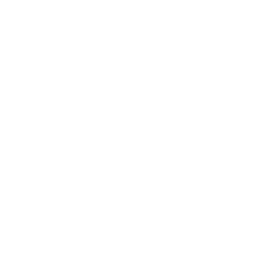 CBS News Chicago logo