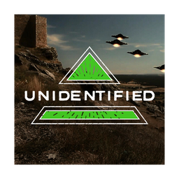 Unidentified logo
