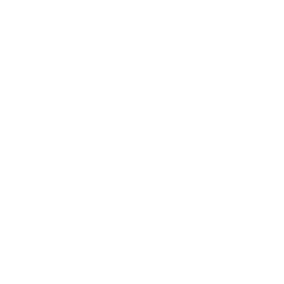 Big Ten Network logo