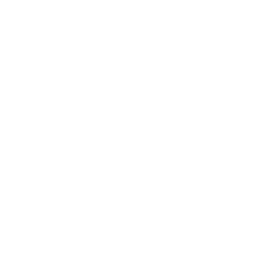 Discovery Pilot logo