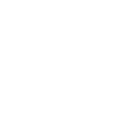 The Dick Van Dyke Show logo