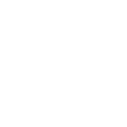 NFL Super Bowl Champions logo