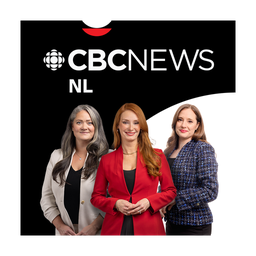 CBC News Newfoundland & Labrador logo
