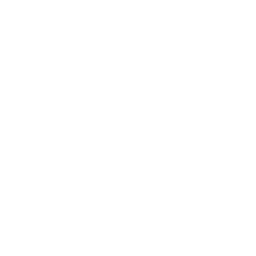 Lionsgate Network logo