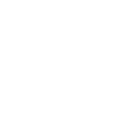 Boston Celtics logo