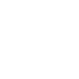 TNT logo