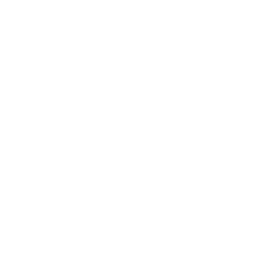 ATN News logo