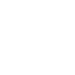 PSC Palestine logo