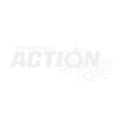 Universal Action