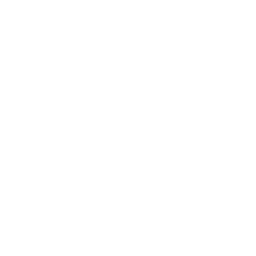 Prime Suspect logo