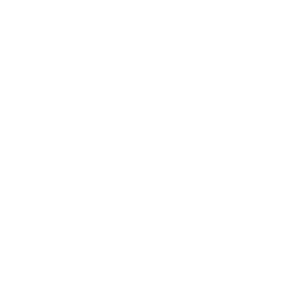 Nomad Travel logo