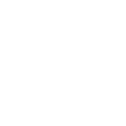 Colors Tamil logo