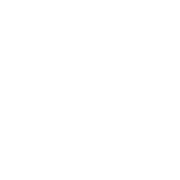 New Orleans Pelicans logo